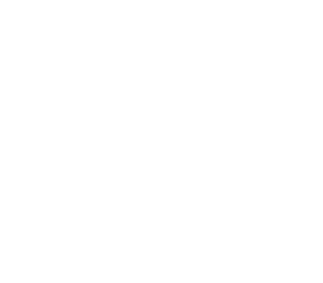 paralogic-icon
