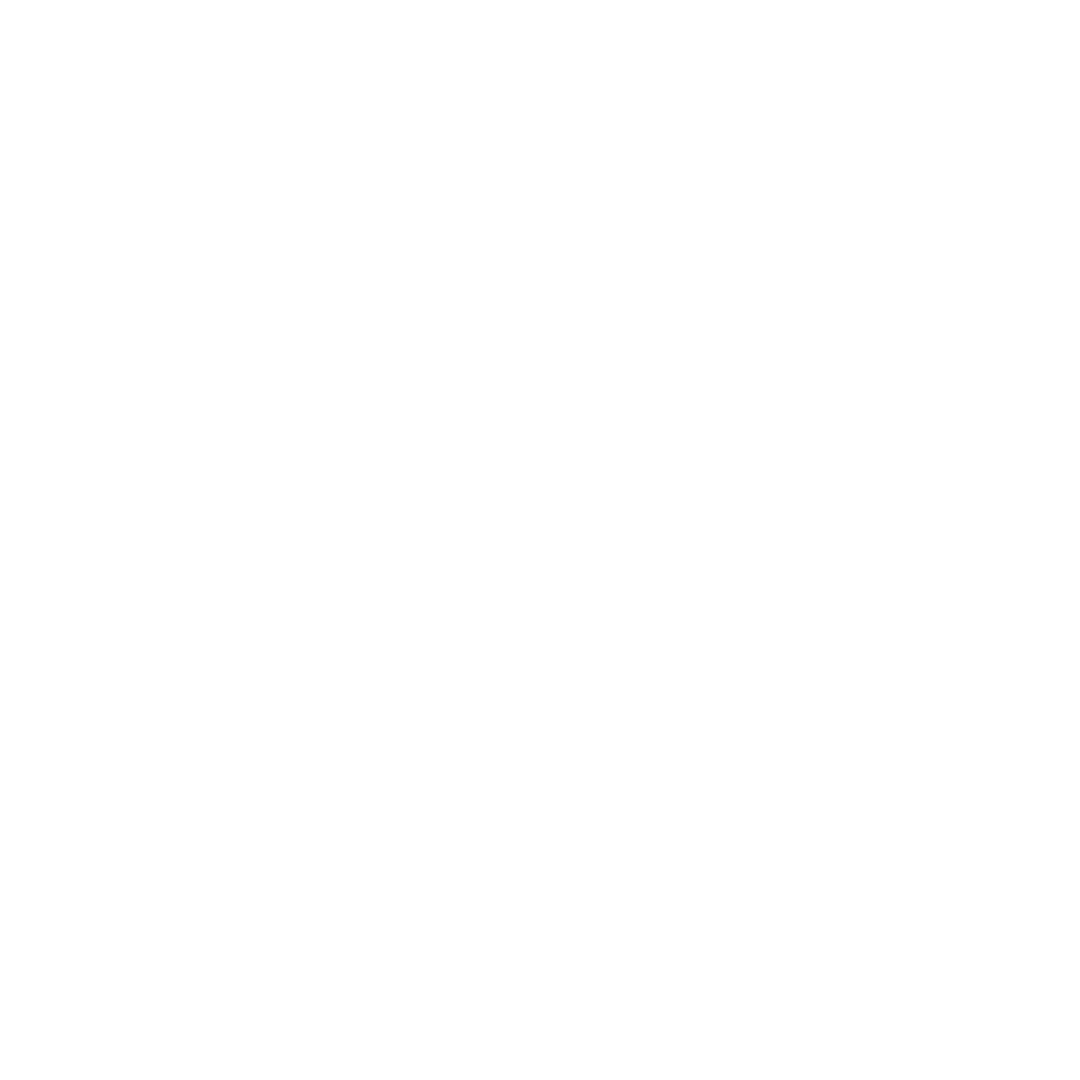 Hyundai South